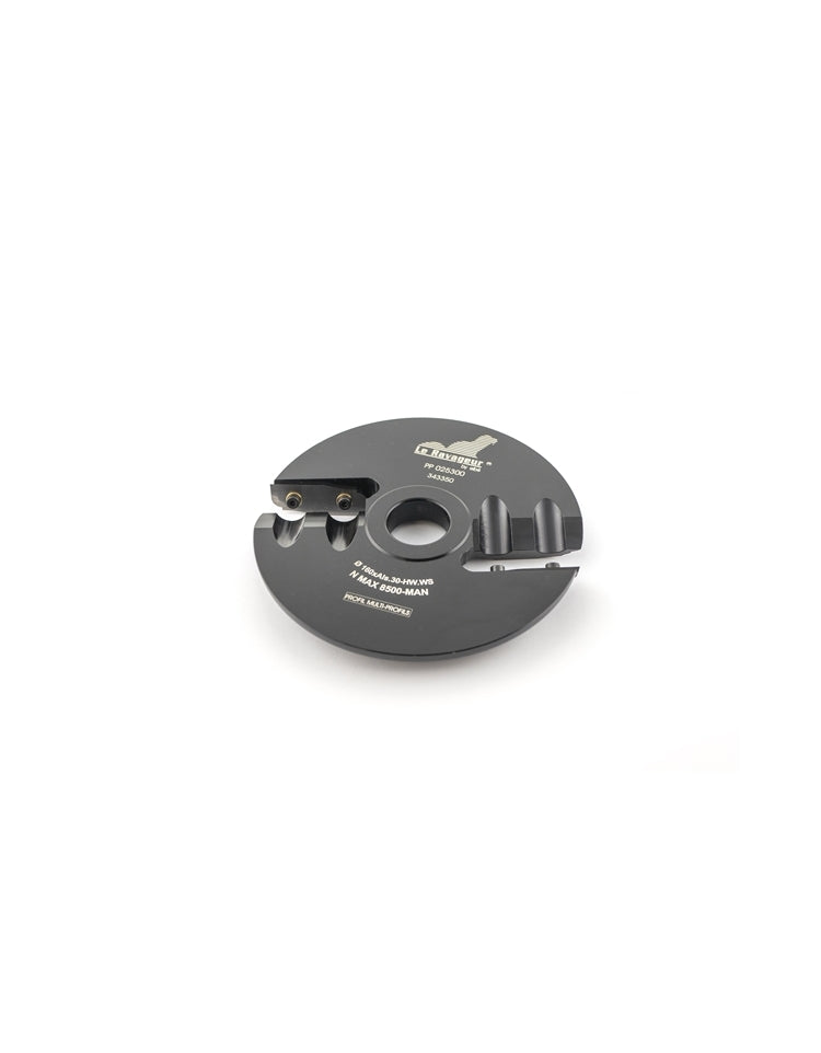 PORTE-OUTILS PLATE BANDE MULTI-PROFILS A PLAQUETTE WS ELBE D:160   POSITION:DESSUS   AL:30   Z:2